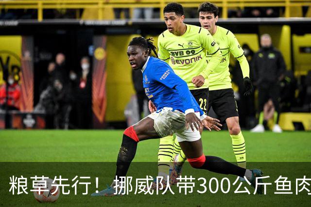 粮草先行！挪威队带300公斤鱼肉+116公斤奶酪赴美踢世界杯