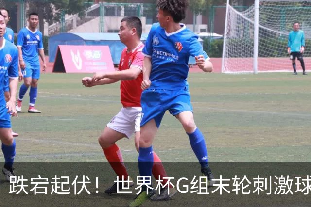 跌宕起伏！世界杯G组末轮刺激球迷心脏 伊朗狂喜过后遭打击