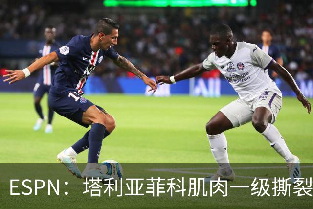 ESPN：塔利亚菲科肌肉一级撕裂，至少缺席世界杯前两场小组赛